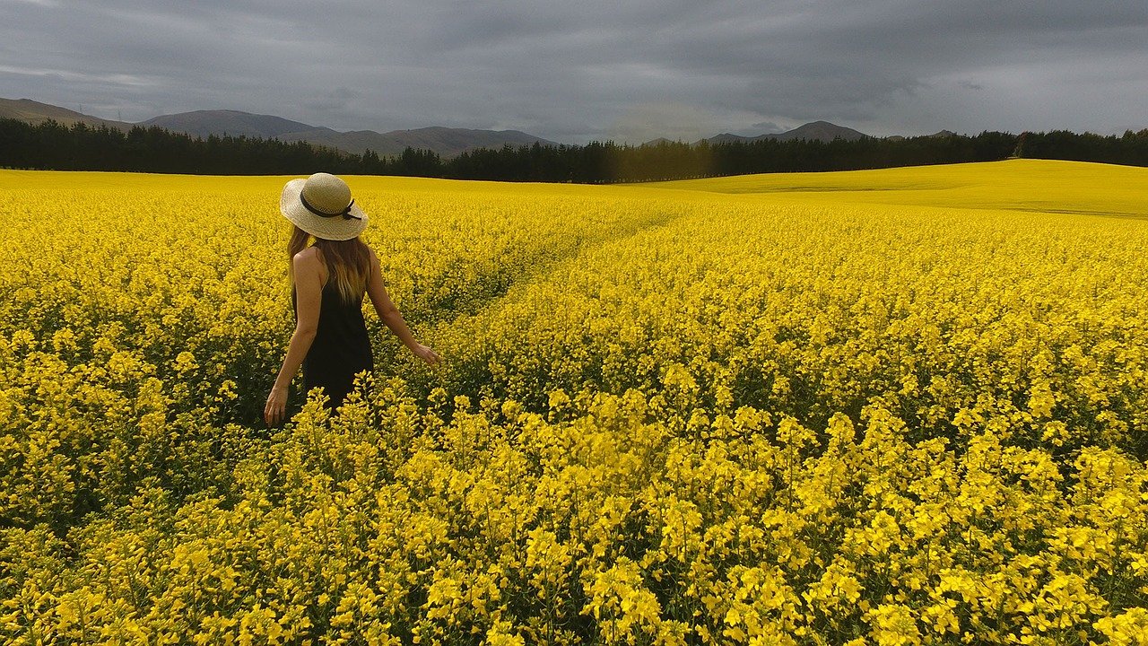 Paisagem com flores